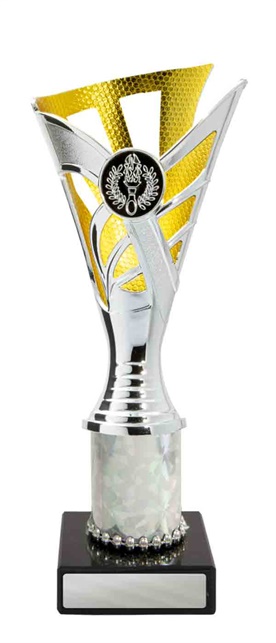 267sg-1_discount-general-sports-trophies.jpg