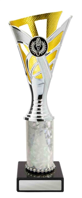 267sg-1_discount-general-sports-trophies.jpg