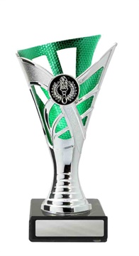 267sgn-1_discount-general-sports-trophies.jpg