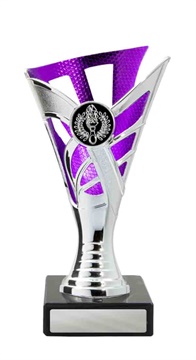 267spu-1_discount-general-sports-trophies.jpg