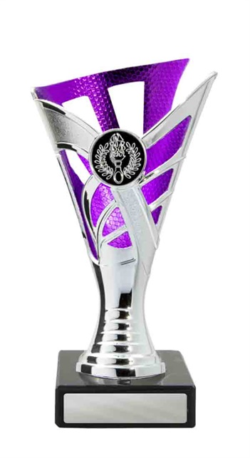 267spu-1_discount-general-sports-trophies.jpg
