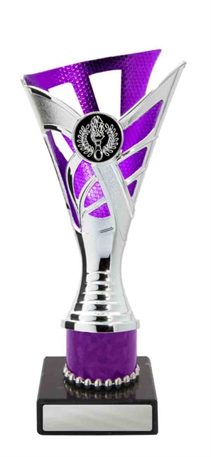 267spu-1_discount-general-sports-trophies.jpg