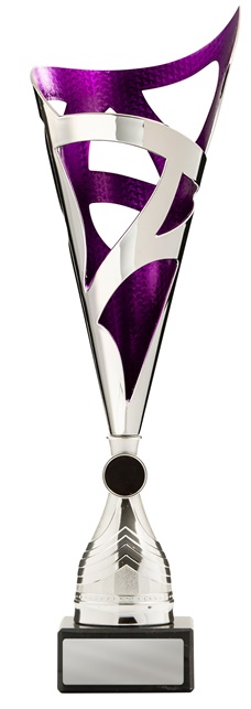 271spu-2_discount-general-sports-trophies.jpg