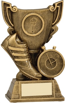 27558a_discount-athletics-trophies.jpg