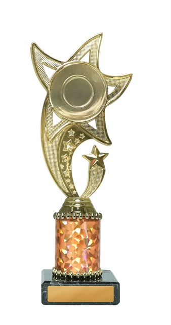 276g_discount-general-sports-trophies.jpg