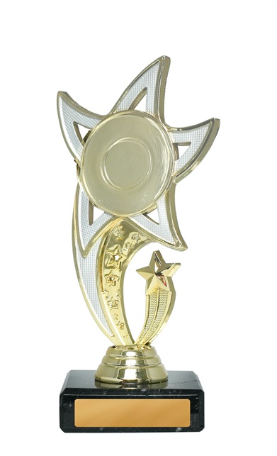 276gs_discount-general-sports-trophies.jpg
