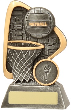28137a_discount-netball-trophies.jpg
