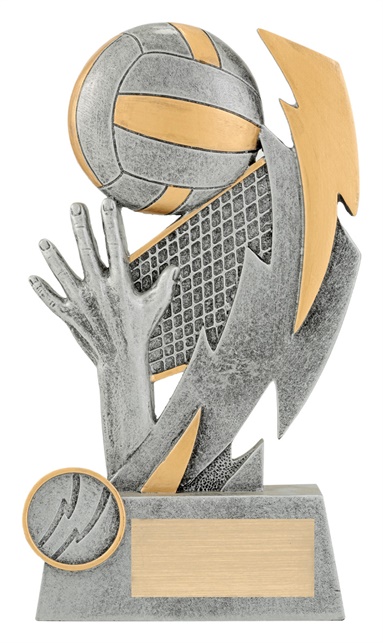 28227a_discount-volleyball-trophies.jpg