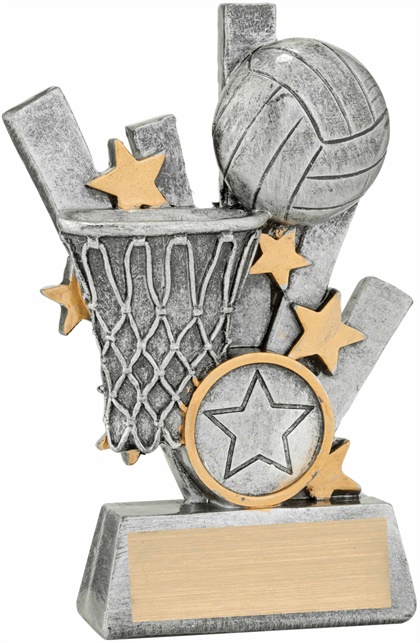 28391a_discount-netball-trophies.jpg