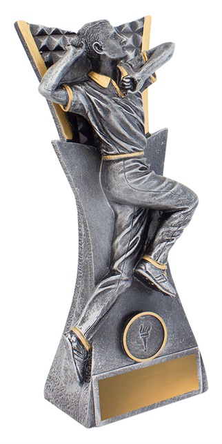 29111a_discount-cricket-trophies.jpg