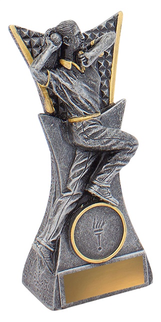29115a_discount-cricket-trophies.jpg