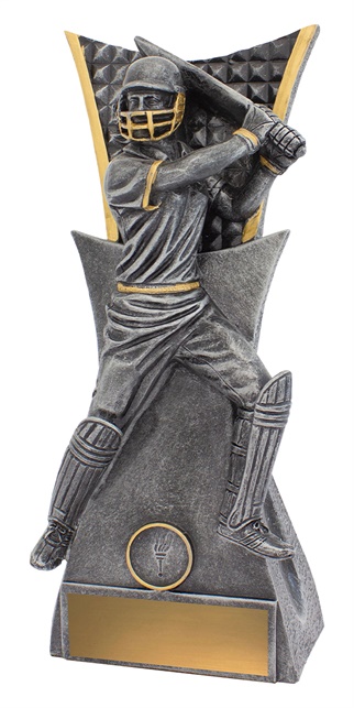 29116a_discount-cricket-trophies.jpg