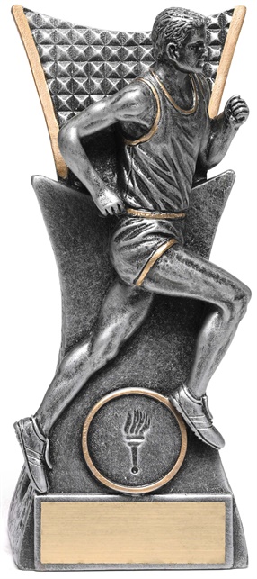 29158a_discount-athletics-trophies.jpg