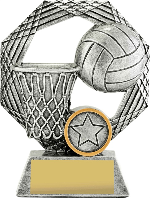 29337a_discount-netball-trophies.jpg