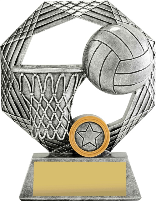 29337a_discount-netball-trophies.jpg