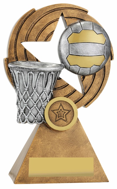 29637a_discount-netball-trophies.jpg