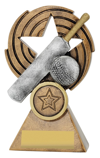 29640a_discount-cricket-trophies.jpg
