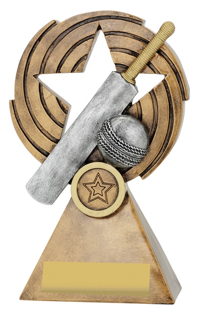 29640a_discount-cricket-trophies.jpg