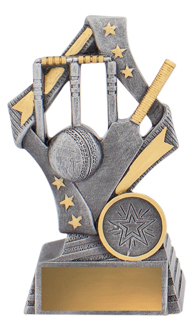 29740a_discount-cricket-trophies.jpg