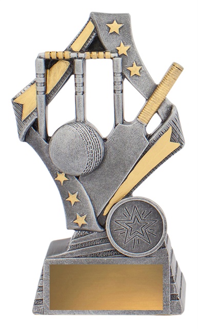 29740a_discount-cricket-trophies.jpg