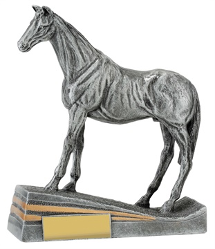 29935_discount-horse-trophies.jpg
