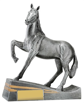 29936_discount-horse-trophies.jpg