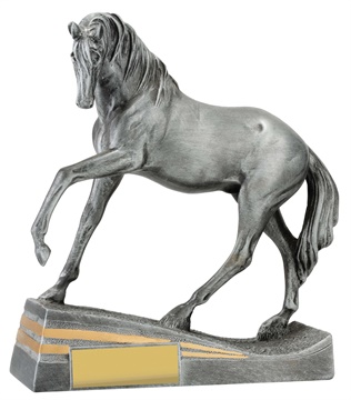 29938_discount-horse-trophies.jpg