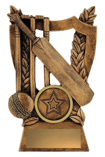 30440a_discount-cricket-trophies.jpg