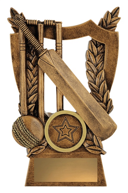 30440a_discount-cricket-trophies.jpg