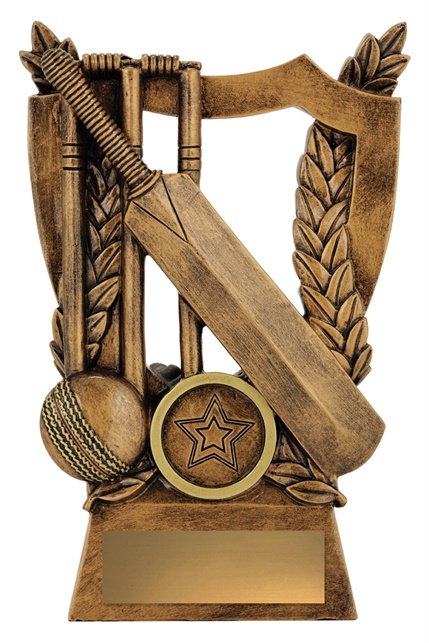 30440a_discount-cricket-trophies.jpg