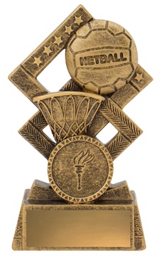 30537a_discount-netball-trophies.jpg