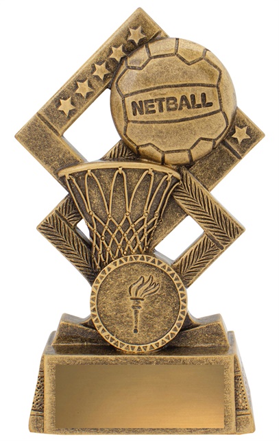 30537a_discount-netball-trophies.jpg