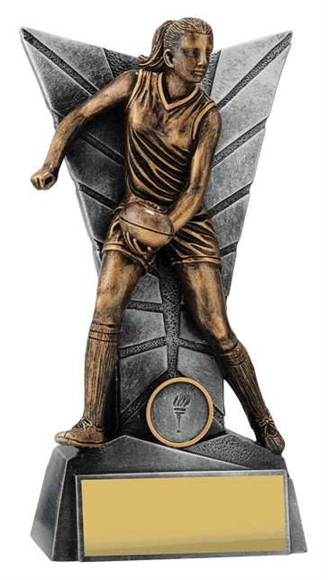 31287a_discount-afl-aussie-rules-trophies.jpg