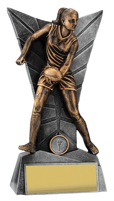 31287a_discount-afl-aussie-rules-trophies.jpg
