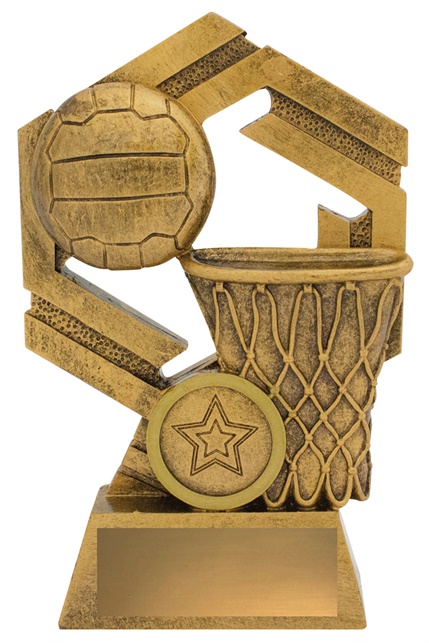 31637a_discount-netball-trophies.jpg