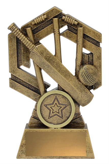 31640a_discount-cricket-trophies.jpg