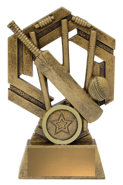 31640a_discount-cricket-trophies.jpg