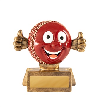 319-1_discount-cricket-trophies.jpg