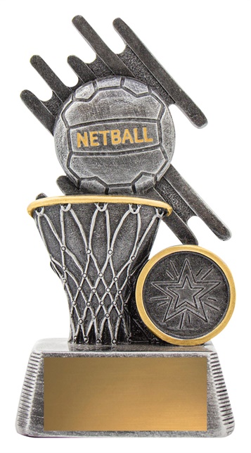 32737a_discount-netball-trophies.jpg