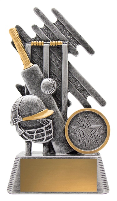 32740a_discount-cricket-trophies.jpg