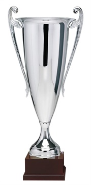 349_Metal_Trophy_Cup.jpg