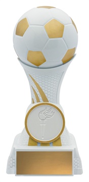 35080a_discount-soccer-football-trophies.jpg