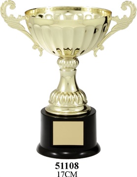51108_TrophyCup.jpg