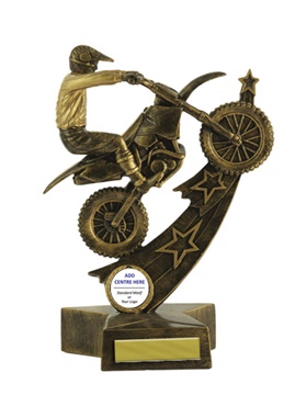 603-31c_discount-motor-sports-trophies.jpg