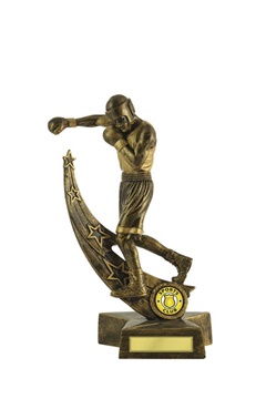 603-32_boxing-trophies-1.jpg