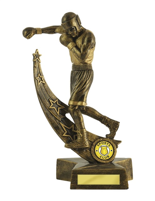 603-32_boxing-trophies-1.jpg