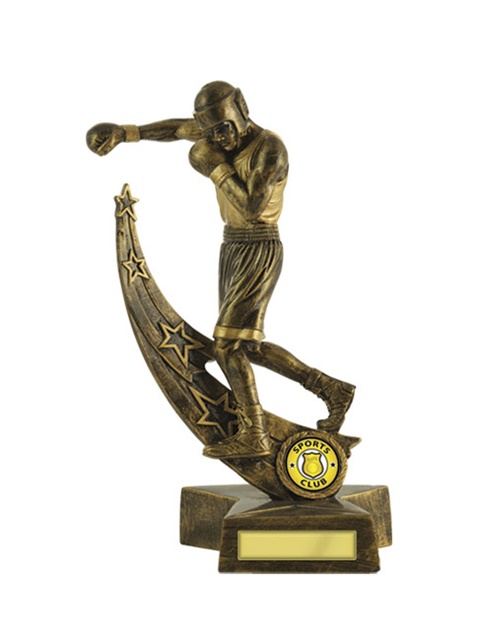 603-32_boxing-trophies-1.jpg