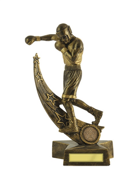 603-32_boxing-trophies-1.jpg
