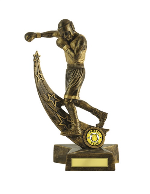 603-32_boxing-trophies-1.jpg