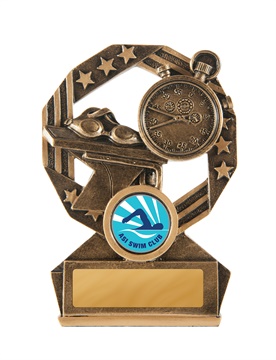 611-2a_discount-swimming-trophies.jpg